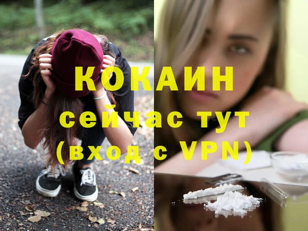 spice Пересвет