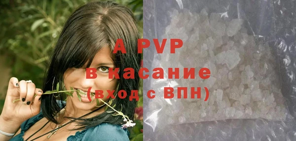 spice Пересвет