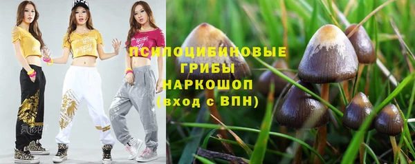 spice Пересвет