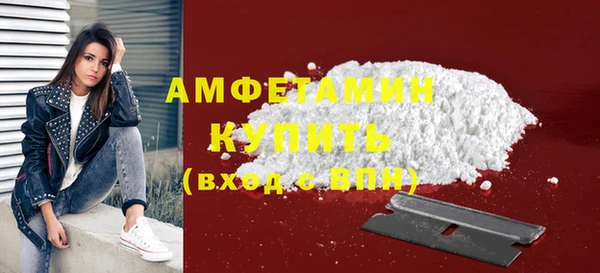 сатива Болотное