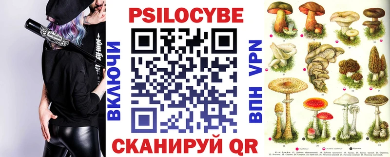 ссылка на мегу   цены наркотик  Урус-Мартан  Псилоцибиновые грибы мицелий 