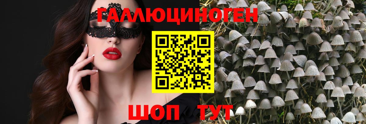Галлюциногенные грибы Magic Shrooms  Вход с VPN  Галлюциногенные грибы ЛСД  Урус-Мартан 