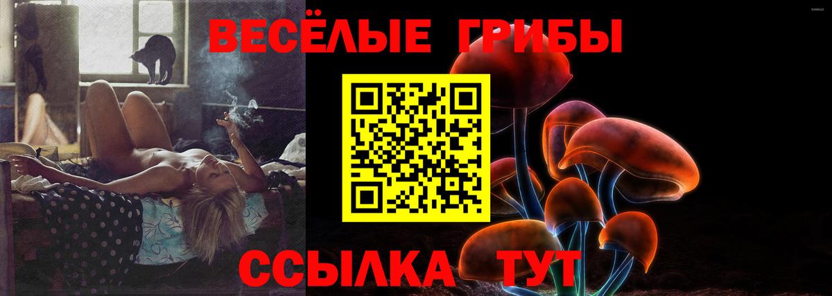 Псилоцибиновые грибы ЛСД Урус-Мартан